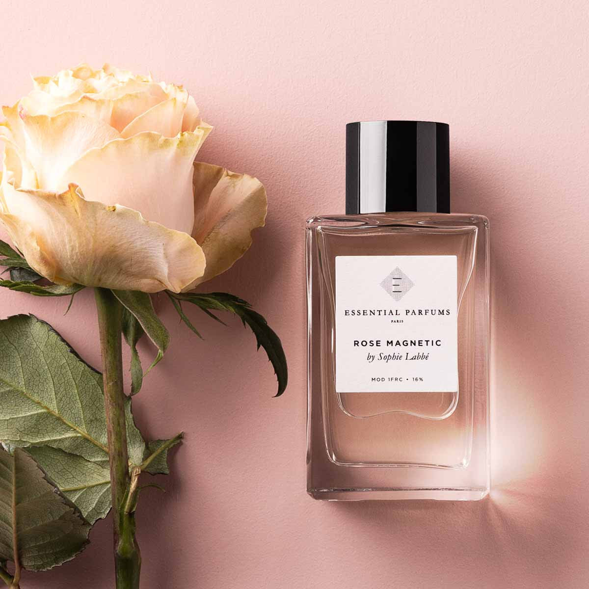 ROSE MAGNETIC
