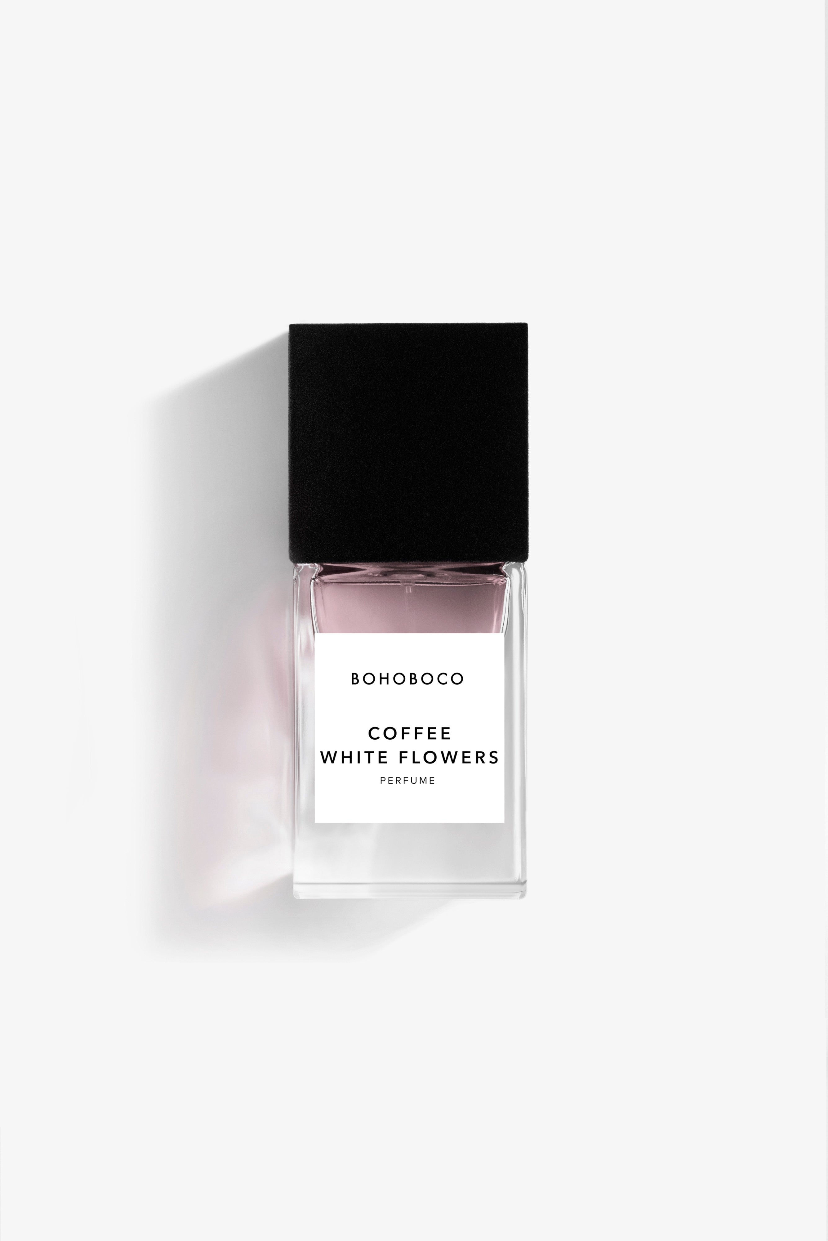 COFFEE WHITE FLOWERS