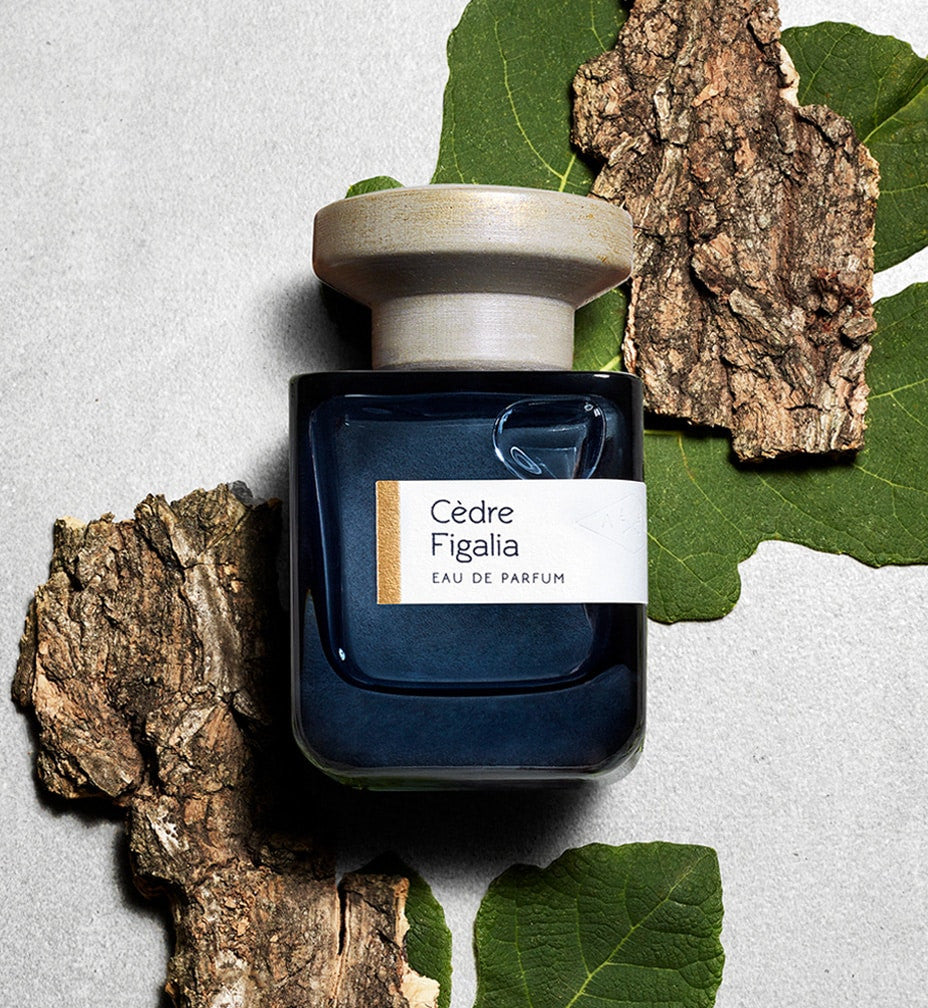 CEDRE FIGALIA