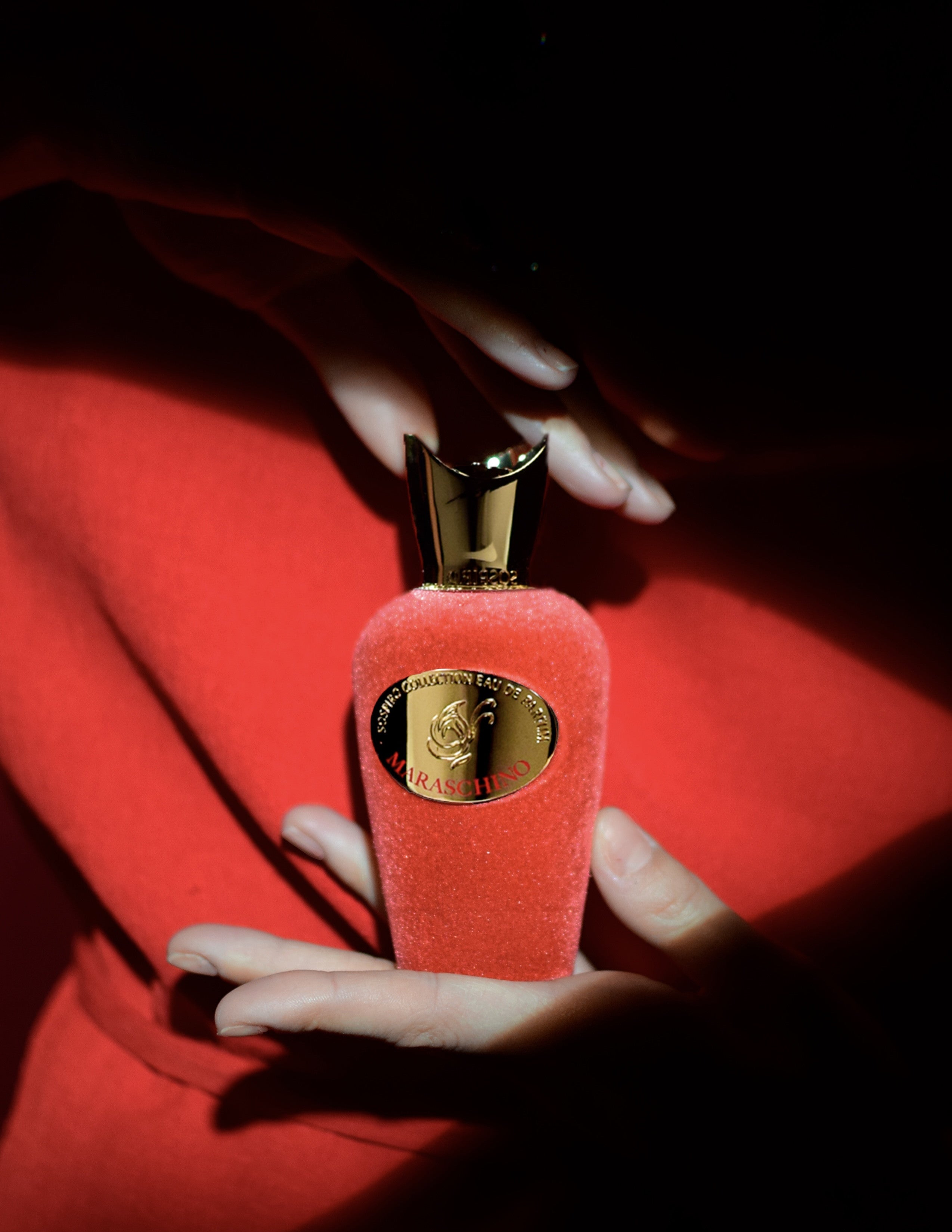 MARASCHINO