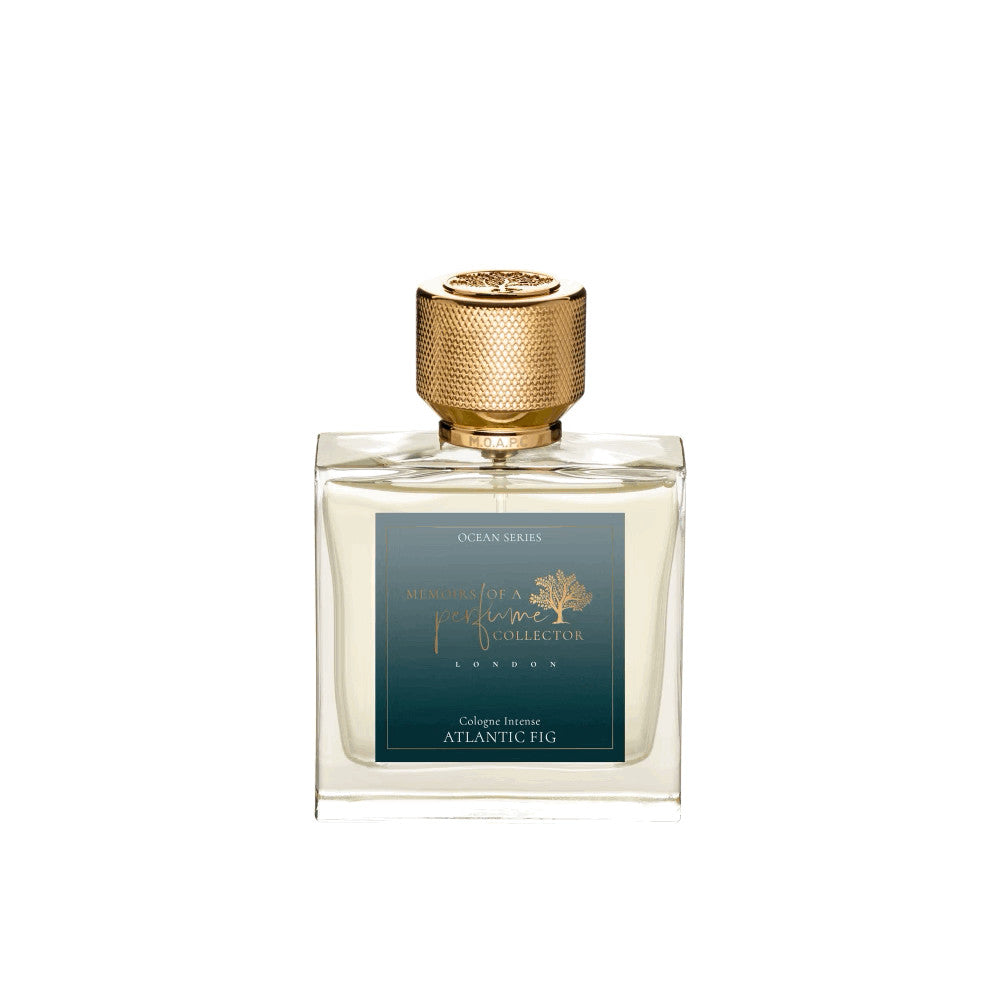 ATLANTIC FIG Edition Limitée