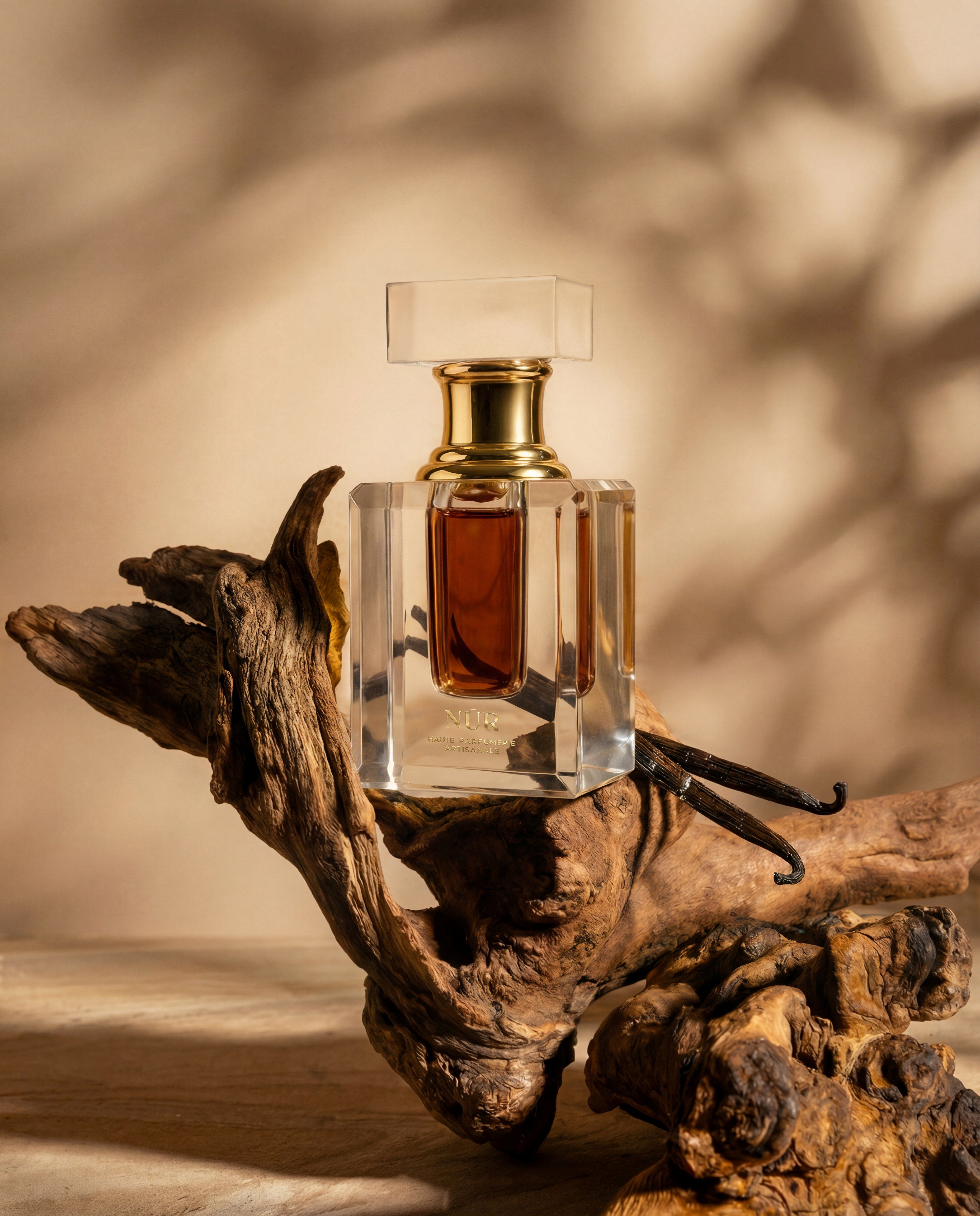 OUD BURMI PLANIFOLIA