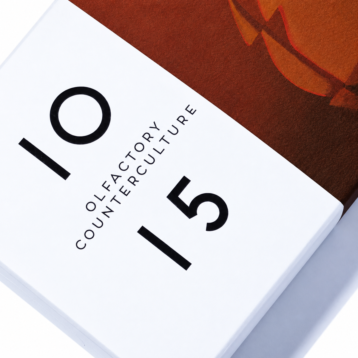 Boîte de l'eau de parfum Kokoa Bang de Room 1015, blanche et brune, en gros plan sur fond blanc.