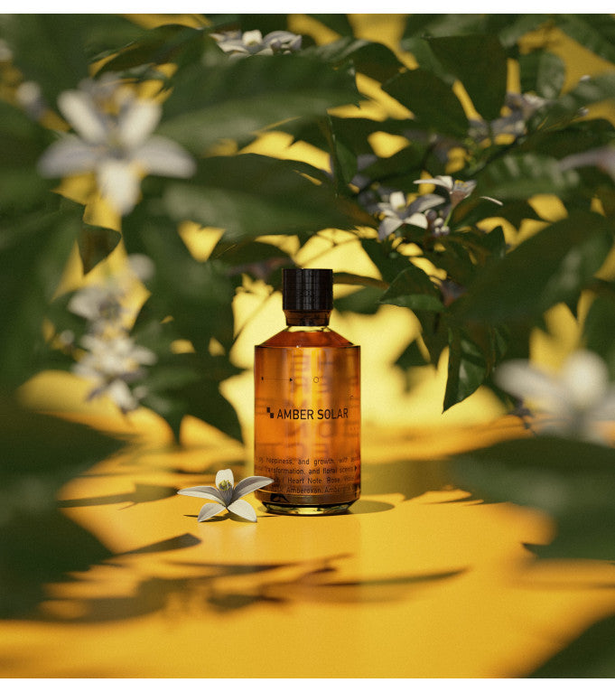 AMBRE SOLAR