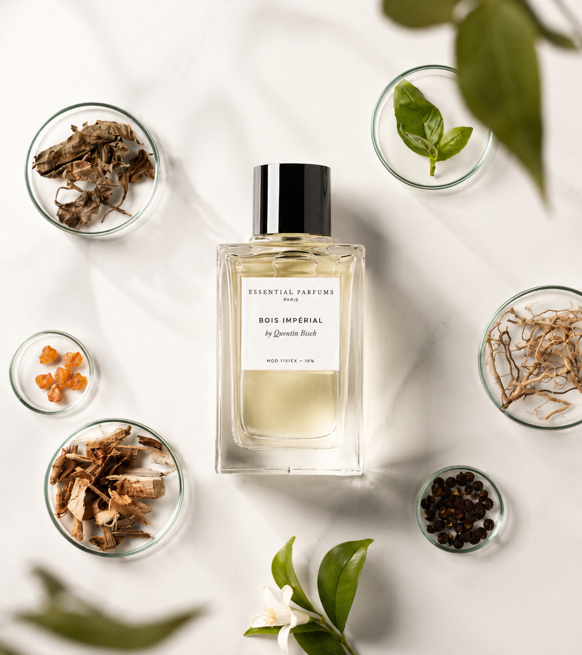 Bois Impérial d'Essential Parfums, eau de parfum 100 ml, mis en scène avec ses ingrédients naturels sur un fond marbre blanc : feuilles de basilic, bois, résines et épices.