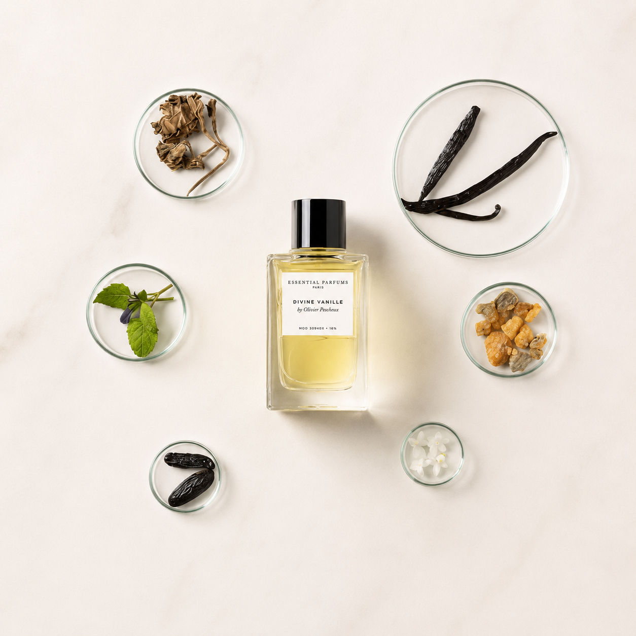 Divine Vanille d'Essential Parfums, eau de parfum 100 ml entourée de vanille, fève tonka, sauge sclarée, benjoin et osmanthus sur fond clair.