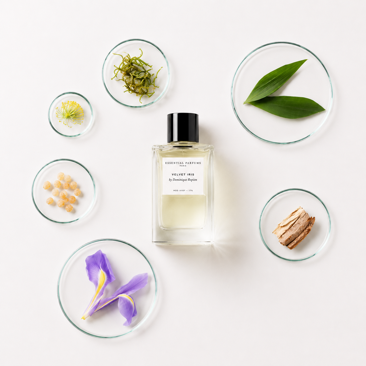 Velvet Iris d'Essential Parfums, eau de parfum 100 ml entourée d'iris, lentisque, bourgeons de cassis, bois de santal, encens et galbanum sur fond clair.