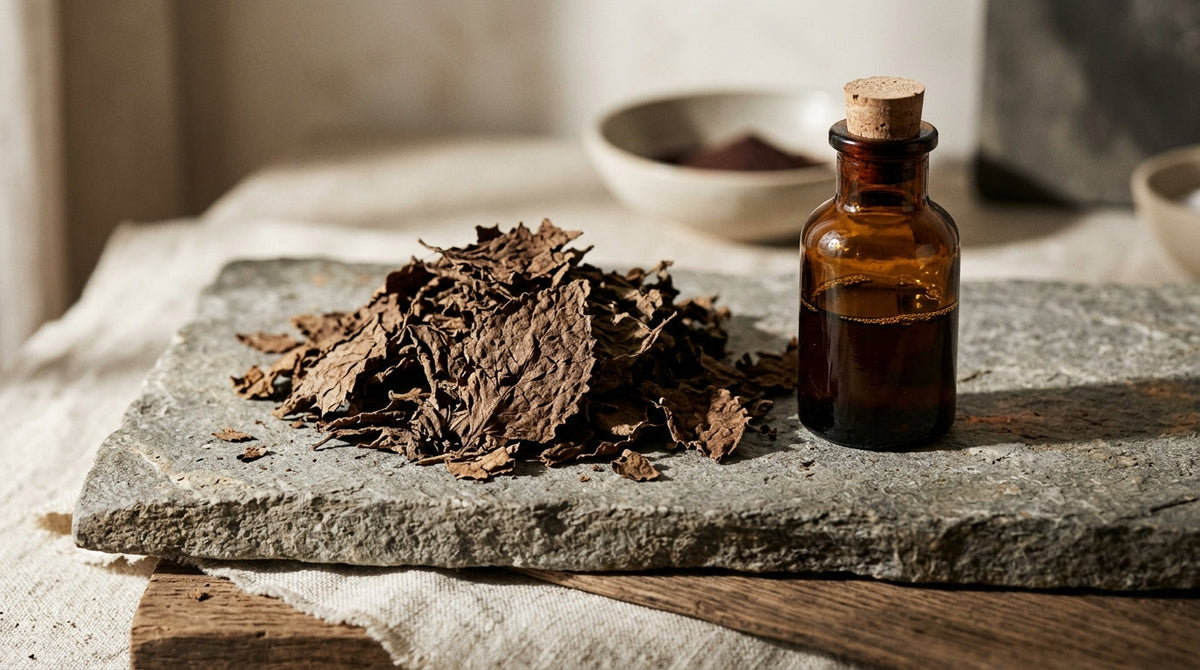Feuilles de patchouli séchées brunes posées près d'un flacon d'huile essentielle
