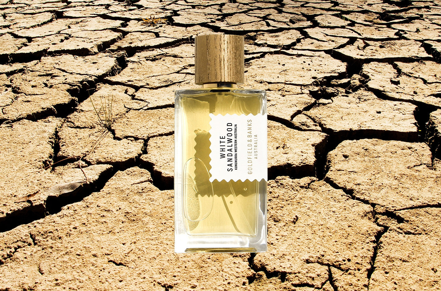 WHITE SANDALWOOD