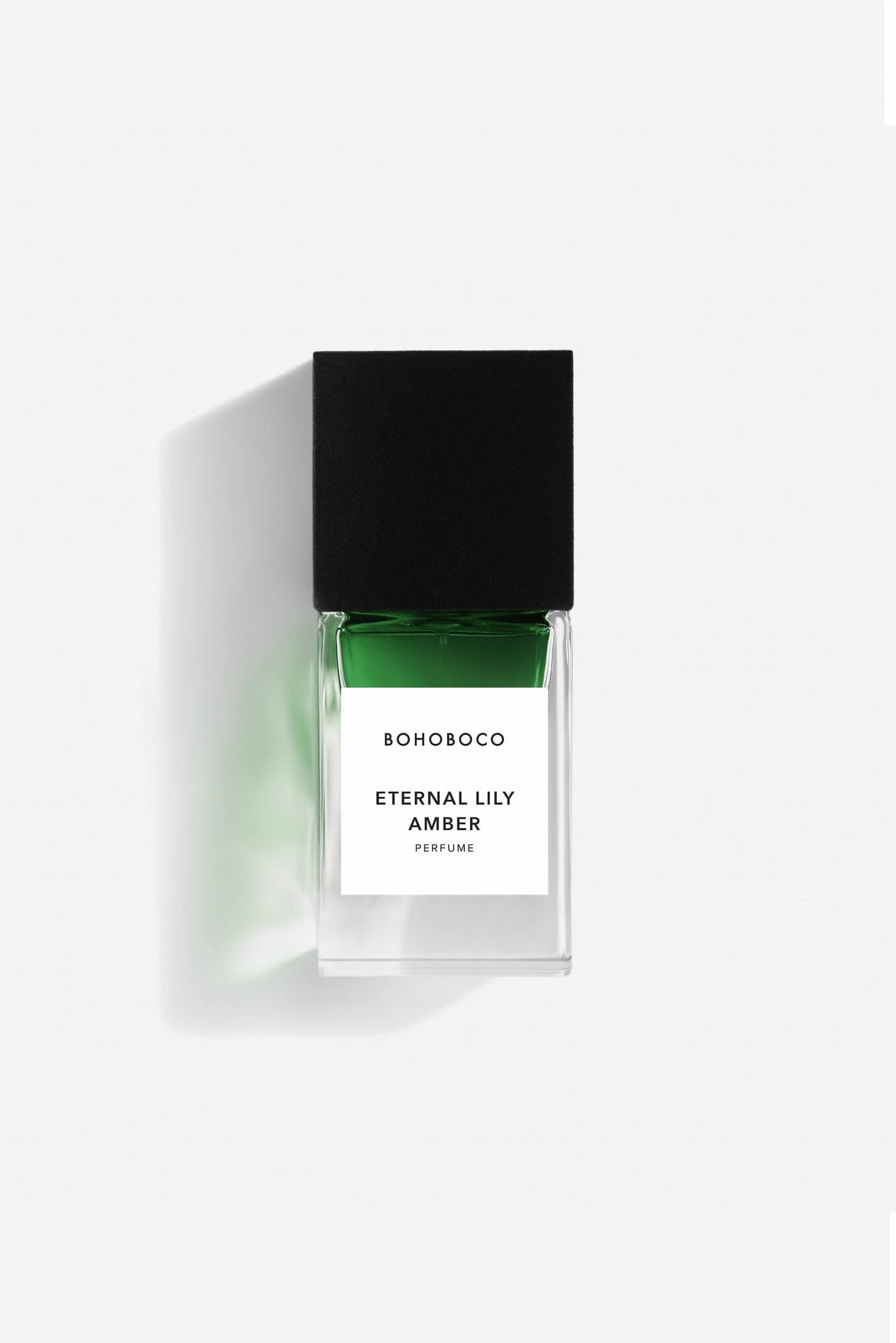 ETERNAL LILY • AMBER