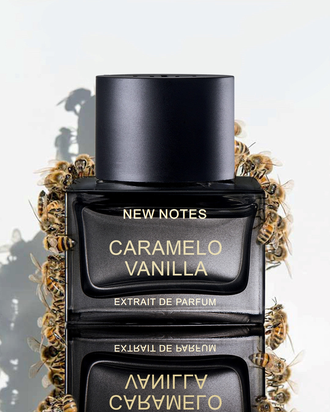 CARAMELO VANILLA