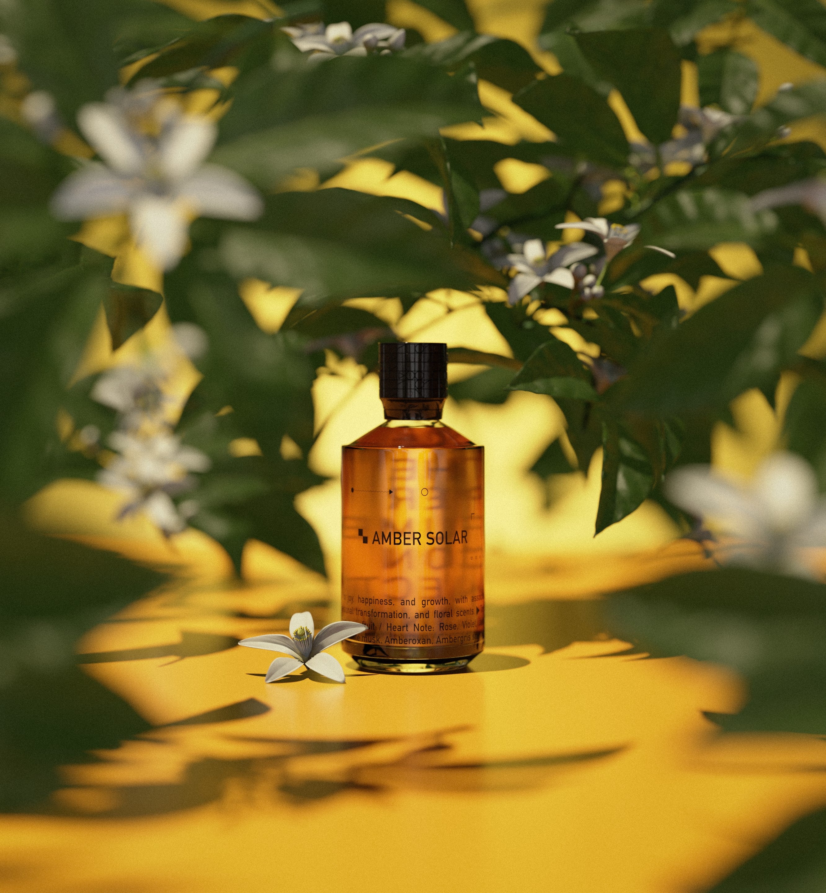 AMBRE SOLAR