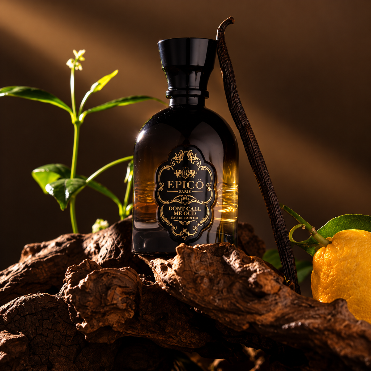 Don't Call Me Oud d'Epicò, eau de parfum 100 ml, flacon en mise en scène.