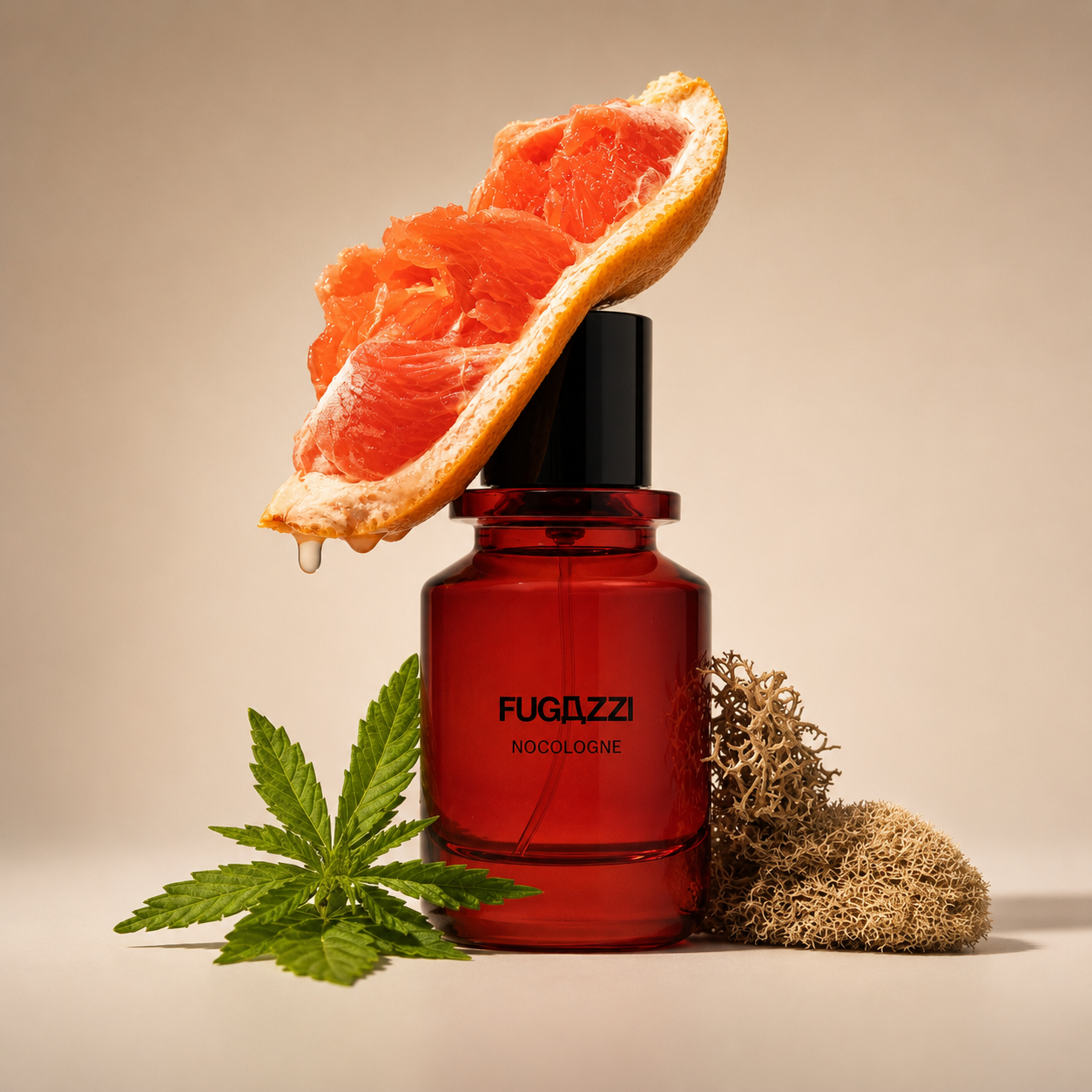 Nocologne de Fugazzi, extrait de parfum, mise en scène du flacon rouge coiffé d'un quartier de pamplemousse, entre une feuille de chanvre et de la mousse séchée.