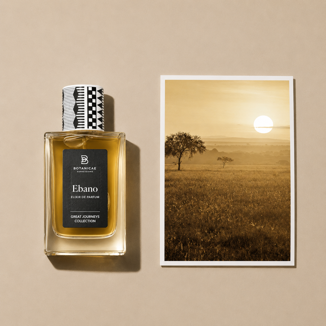 Ebano de Botanicae, élixir de parfum 75 ml, mise en scène évoquant le cacao et les résines sacrées.