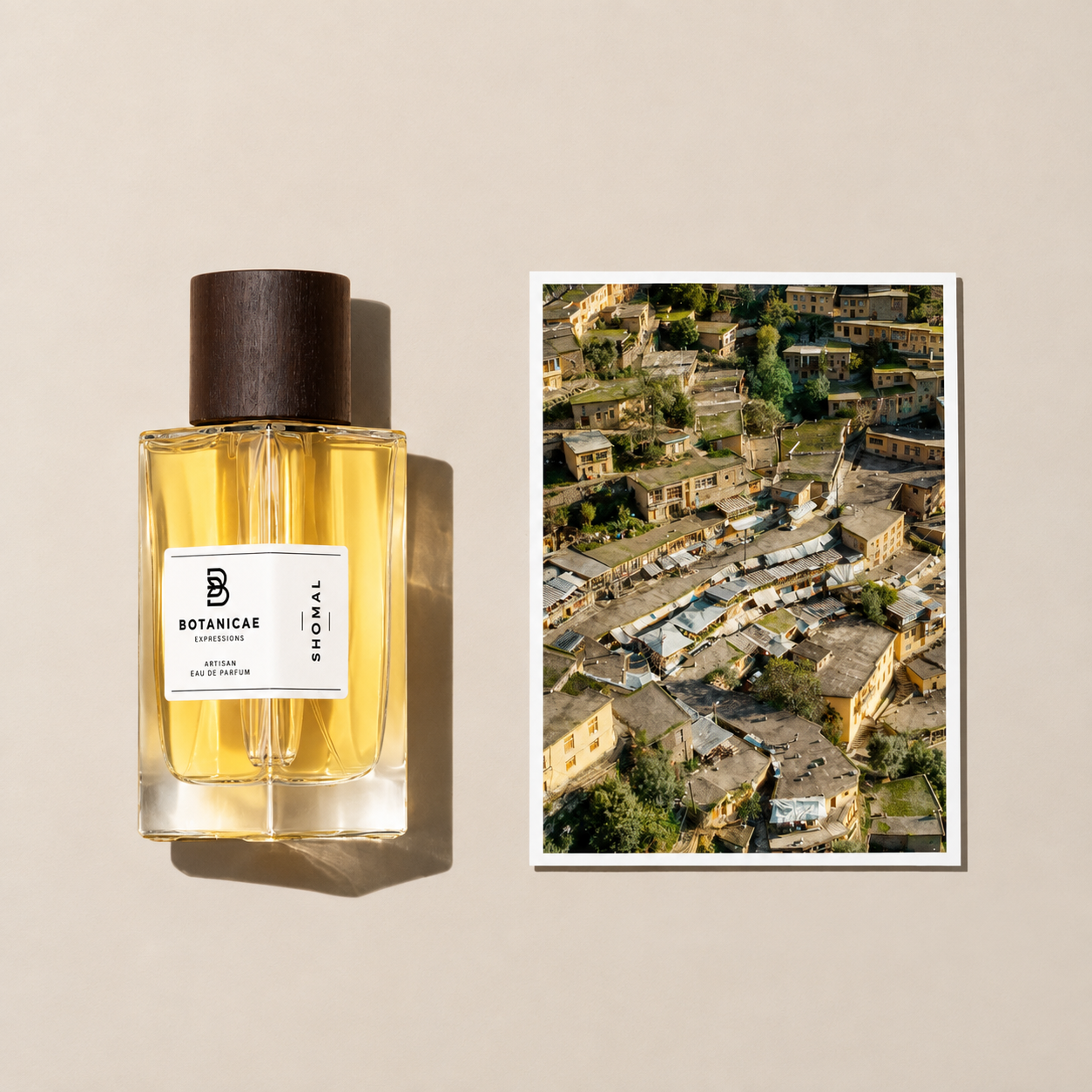 Shomal de Botanicae, eau de parfum 100 ml, mise en scène évoquant les forêts du nord de l'Iran.
