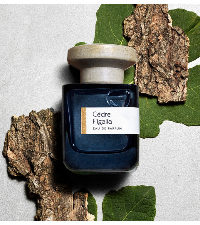 CEDRE FIGALIA