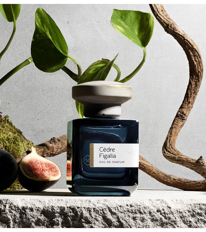 CEDRE FIGALIA