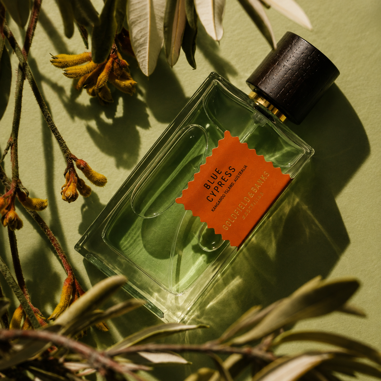 Parfum Blue Cypress Goldfield & Banks Australia en mise en scène végétale aux tons verts et naturels