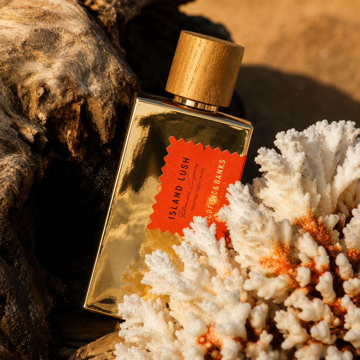 Parfum Island Lush Goldfield & Banks Australia en mise en scène avec bois flotté, corail blanc et lumière dorée
