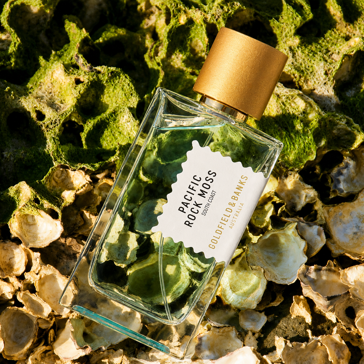 Parfum Pacific Rock Moss Goldfield & Banks Australia en mise en scène sur coquillages et rochers recouverts de mousse