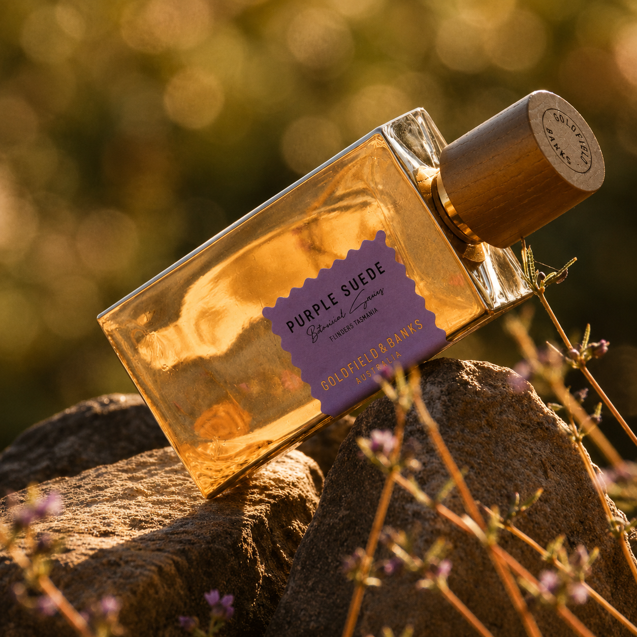 Parfum Purple Suede Goldfield & Banks Australia en mise en scène sur rochers avec végétation et lumière dorée