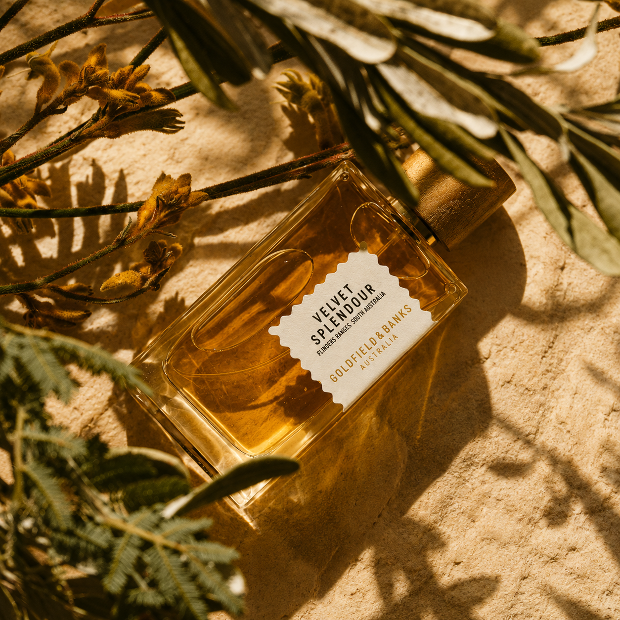 Parfum Velvet Splendour Goldfield & Banks Australia en mise en scène végétale aux tons dorés