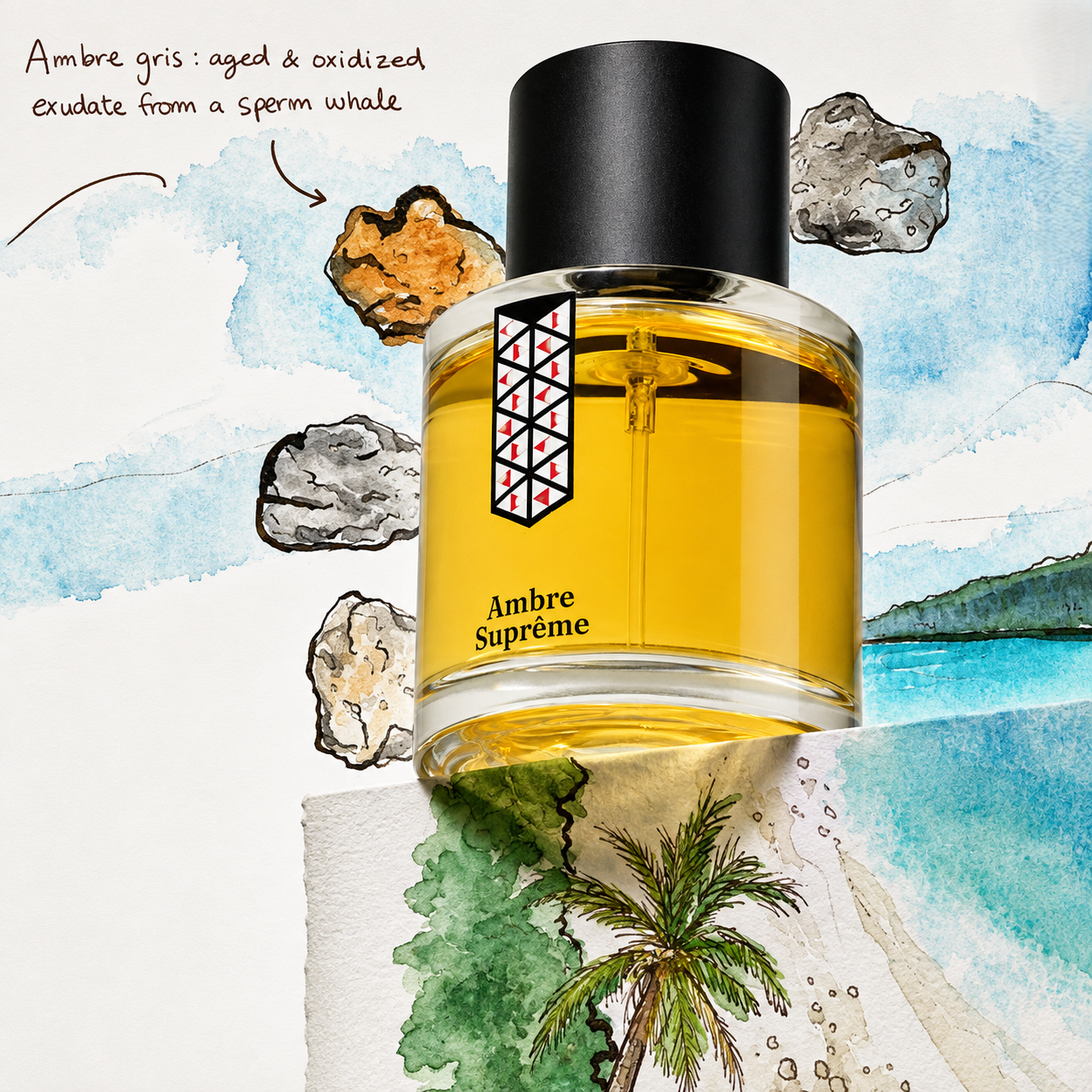 Ambre Suprême de Les Indémodables, eau de parfum 50 ml, mise en scène avec des morceaux d'ambre gris sur un rivage tropical.
