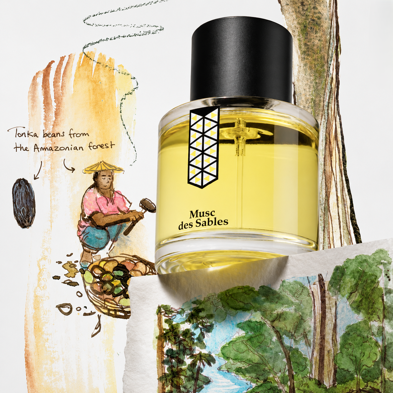 Musc des Sables de Les Indémodables, eau de parfum 50 ml, mise en scène avec des fèves tonka d'Amazonie et une récoltante en forêt.