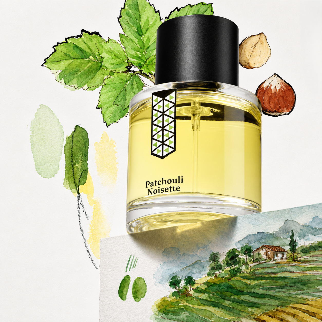 Patchouli Noisette de Les Indémodables, eau de parfum 50 ml, mise en scène avec des feuilles de patchouli, des noisettes et des collines en terrasses.
