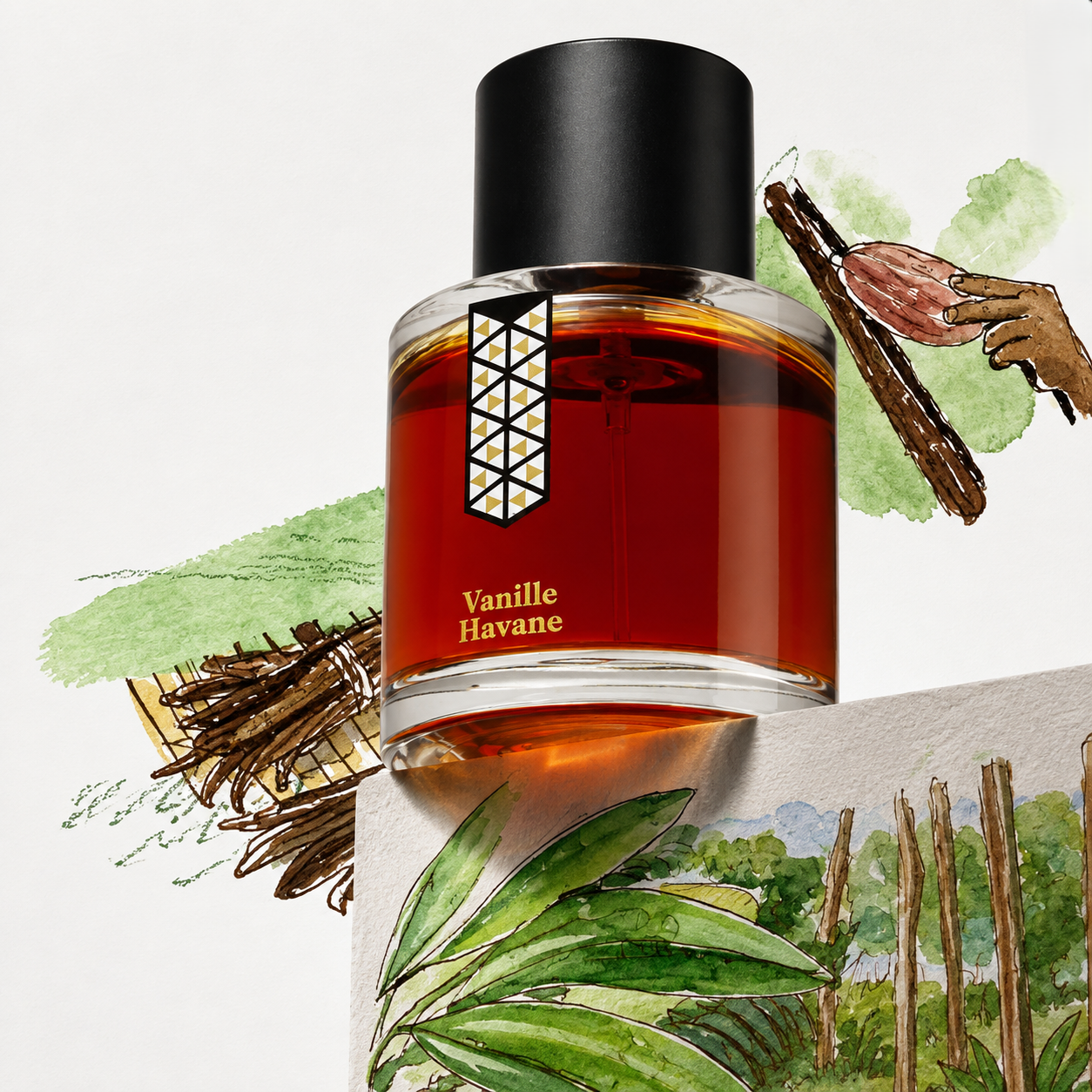 Vanille Havane de Les Indémodables, eau de parfum, mise en scène avec des gousses de vanille au séchage et une cabosse de cacao.