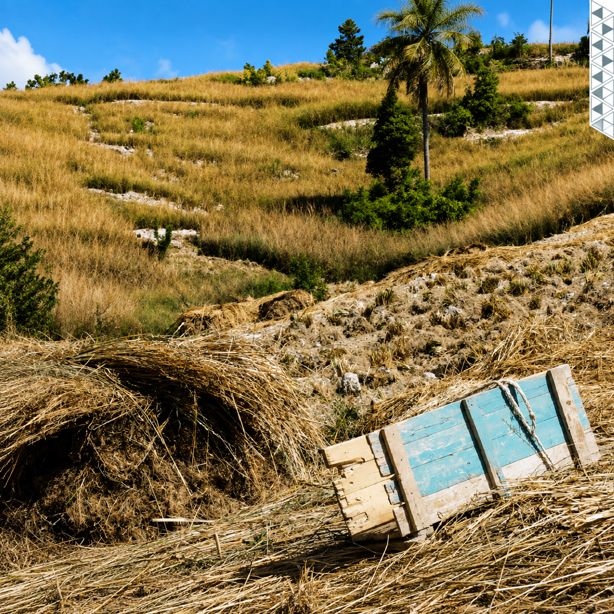 Escale en Haïti de Les Indémodables, eau de Cologne 100 ml, coteau haïtien et bottes de vétiver après la récolte.