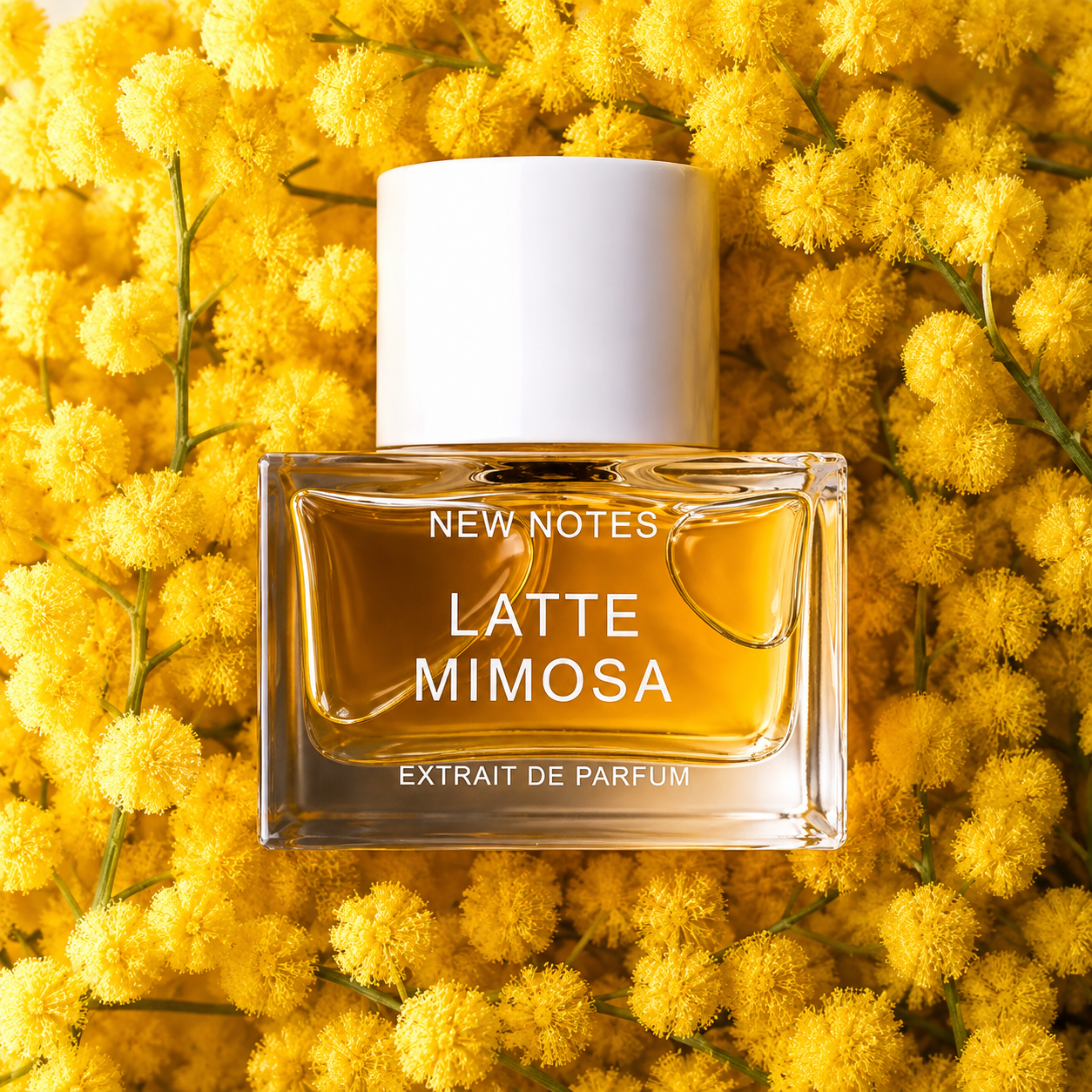 Latte Mimosa de New Notes, extrait de parfum, flacon en mise en scène.
