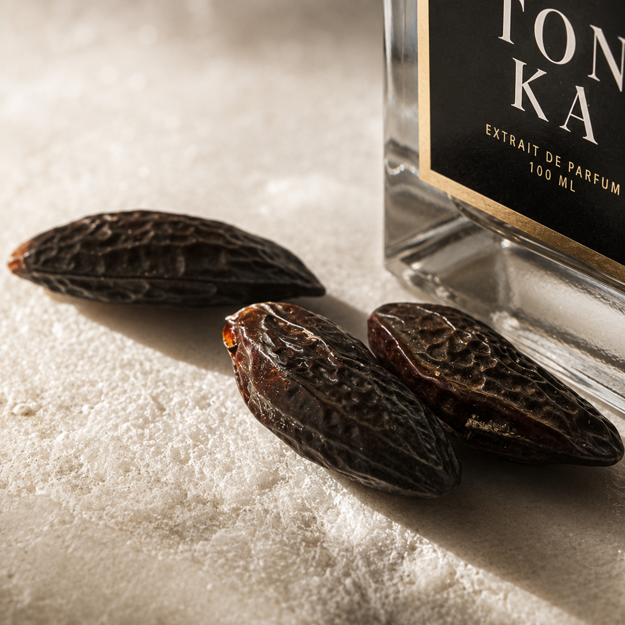 Boîte Pomme tonka Maison Berliner Extrait de Parfum sur fond blanc