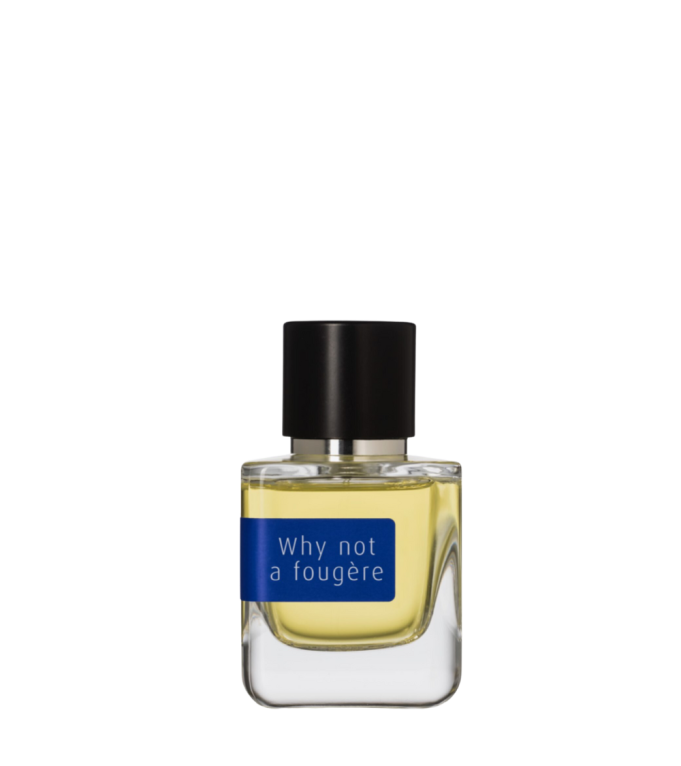 Why Not a Fougère? – Eau de Parfum Aromatique Fraîche